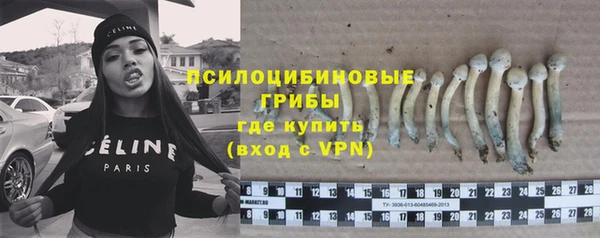 дурь Лиски